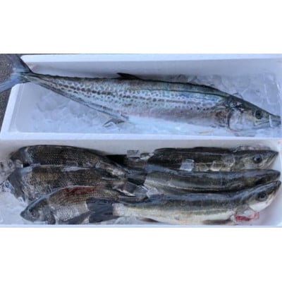 大椋丸水産