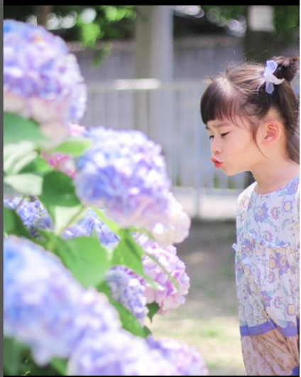 あじさいにむちゅー！