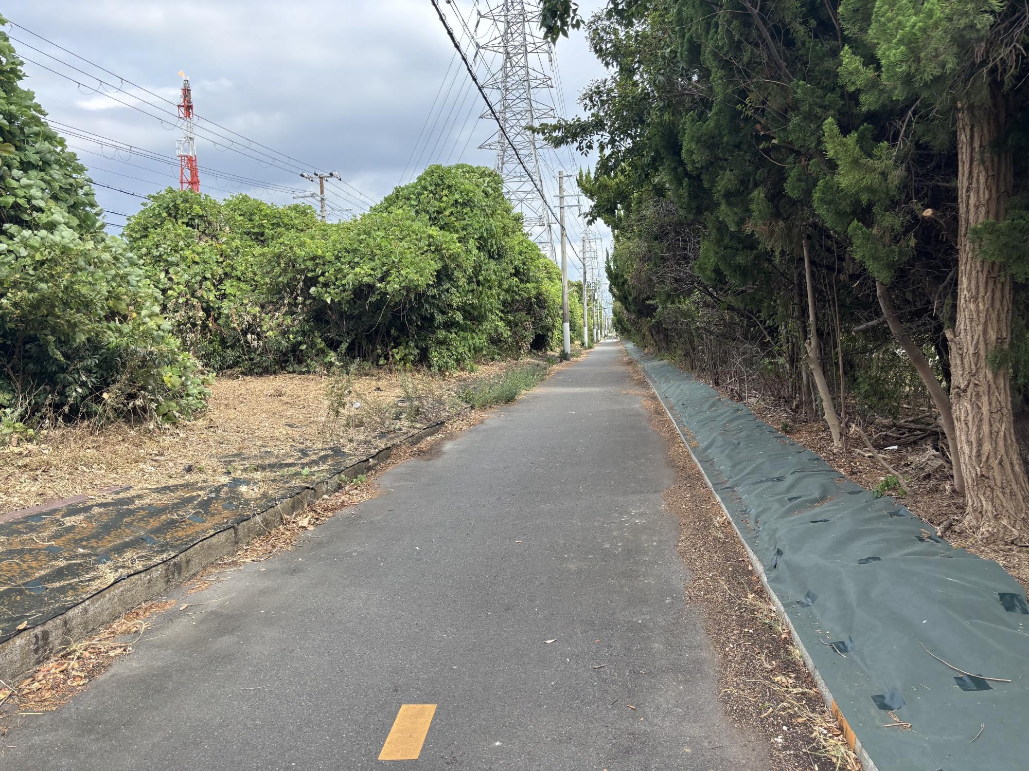 防草シートを設置した緑道
