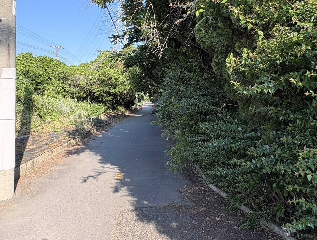防草シートを設置する前
