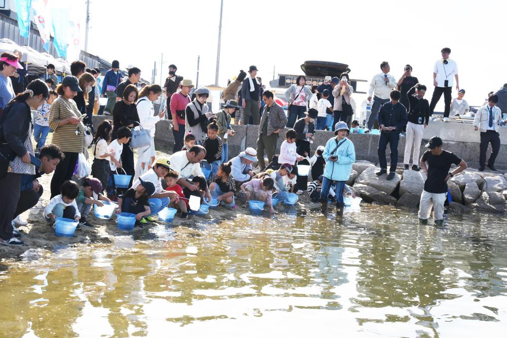 稚魚放流